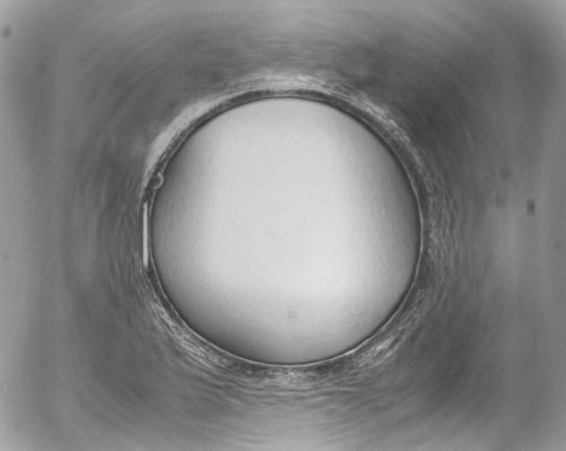 X0000052551175200507221443