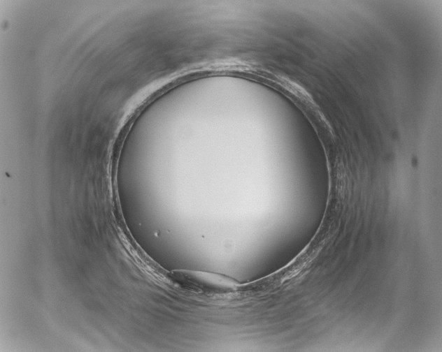 X0000052551176200507221443