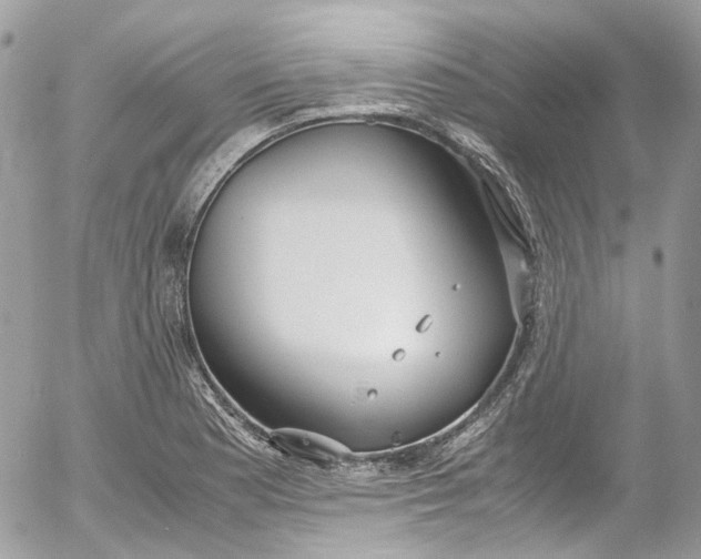 X0000052551177200507221443