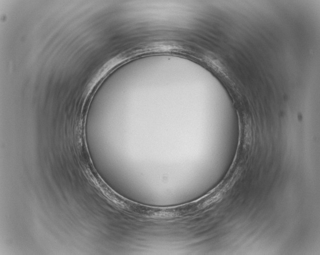 X0000052551178200507221443