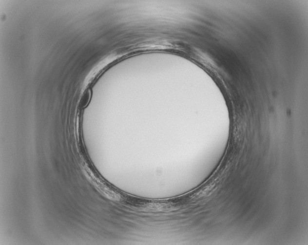 X0000052551179200507221443