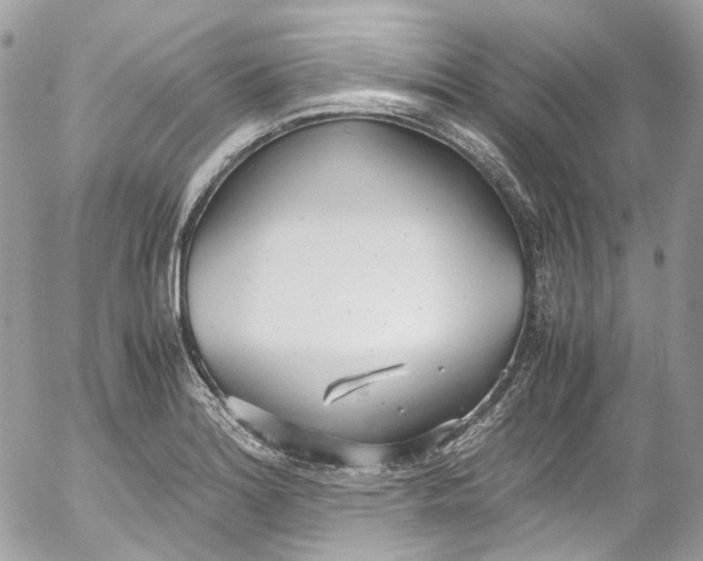 X0000052551180200507221443