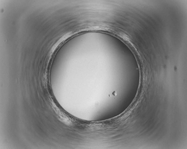 X0000052551181200507221443