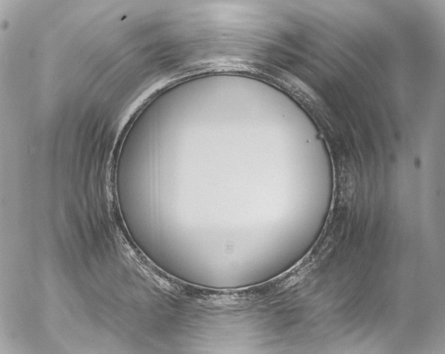 X0000052551182200507221443