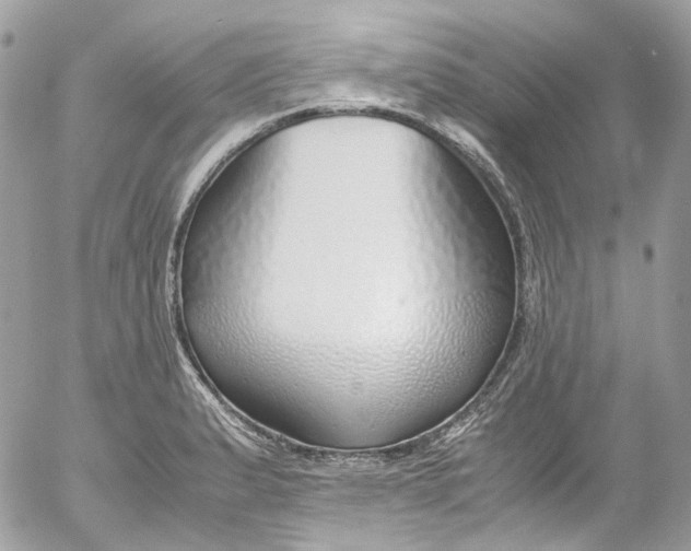 X0000052551183200507221443