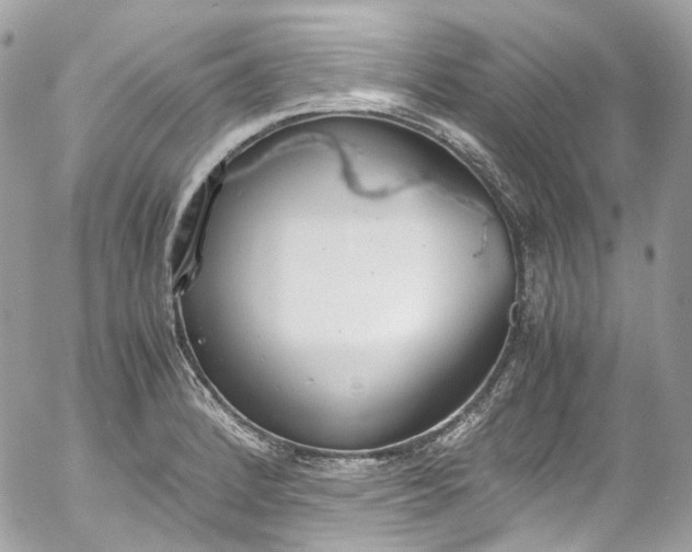 X0000052551184200507221443