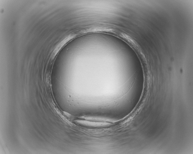 X0000052551185200507221443