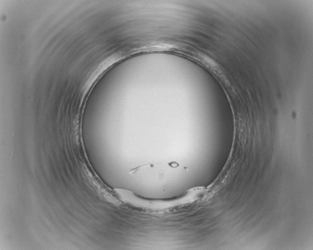 X0000052551186200507221443