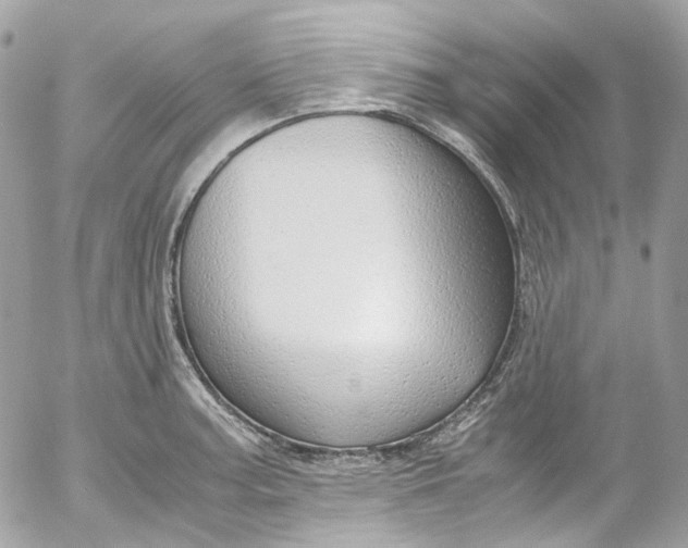 X0000052551187200507221443