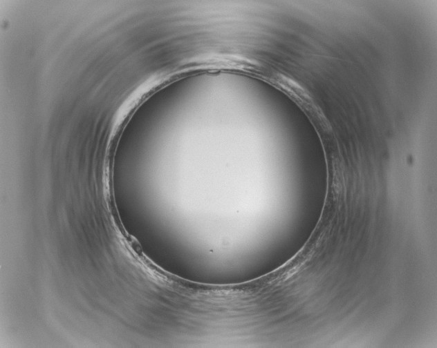 X0000052551188200507221443