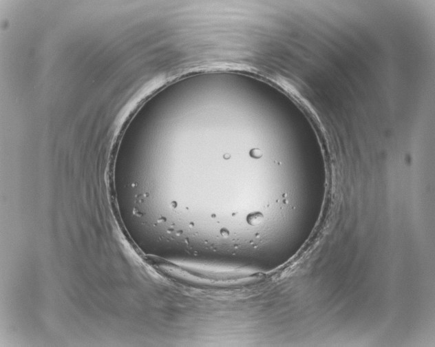 X0000052551189200507221443