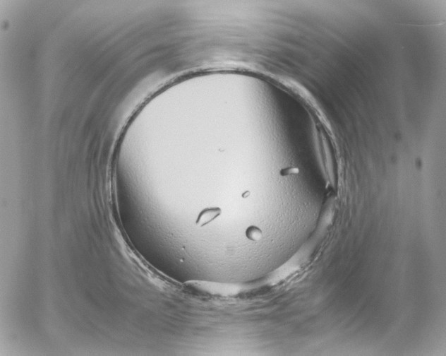 X0000052551191200507221443