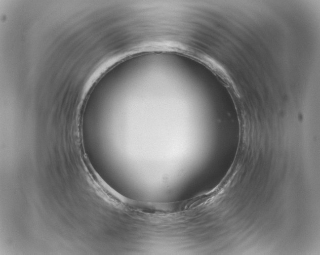 X0000052551192200507221443