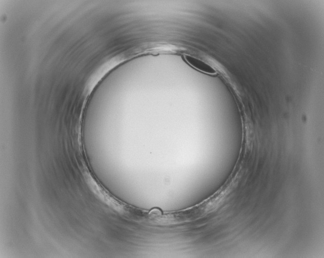 X0000052551194200507221443