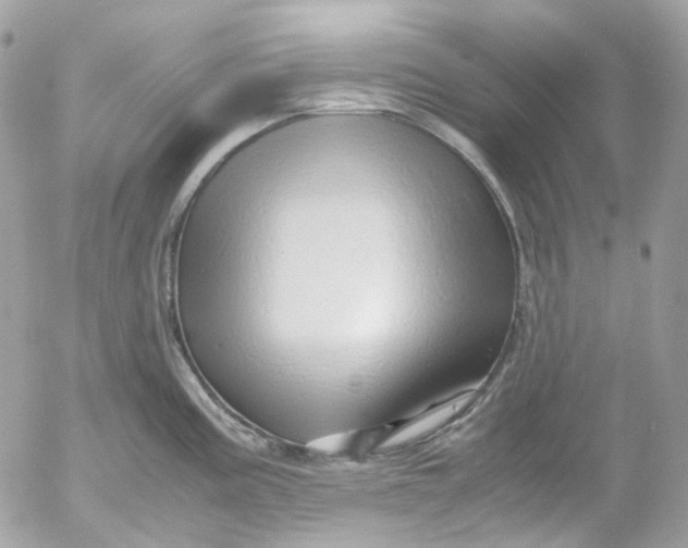 X0000052551195200507221443