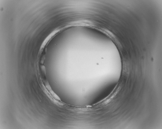 X0000052551196200507221443