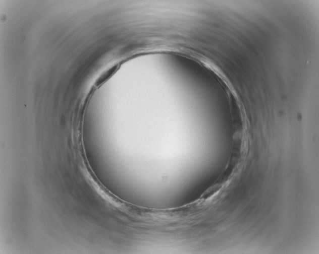 X0000052551197200507221443