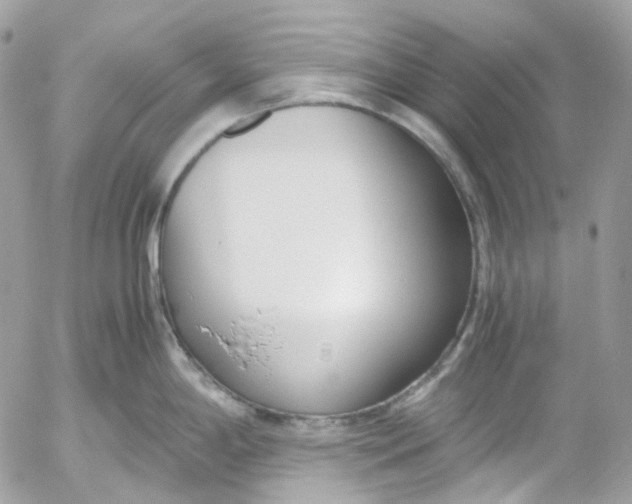 X0000052551198200507221443