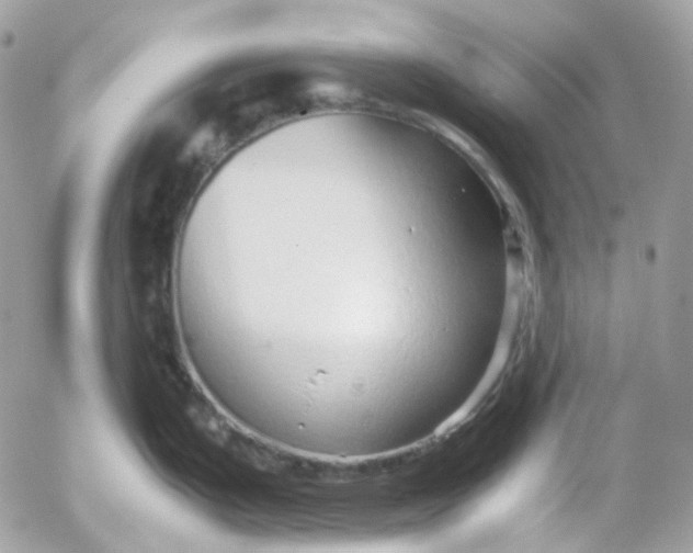 X0000052551199200507221443