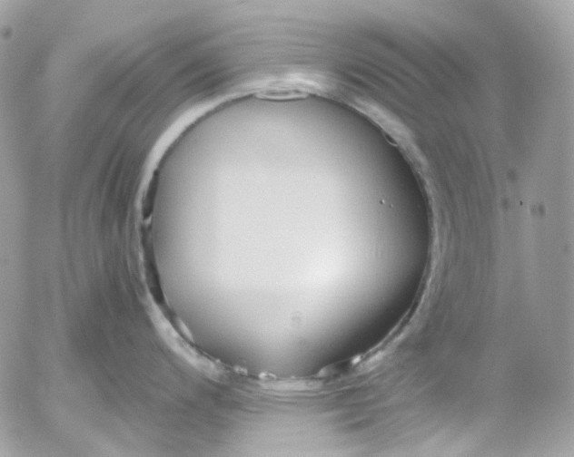 X0000052551200200507221443