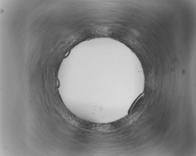 X0000052551201200507221442