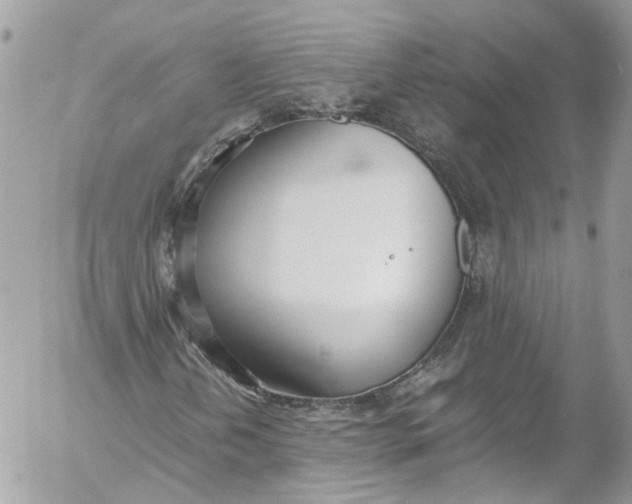 X0000052551202200507221442