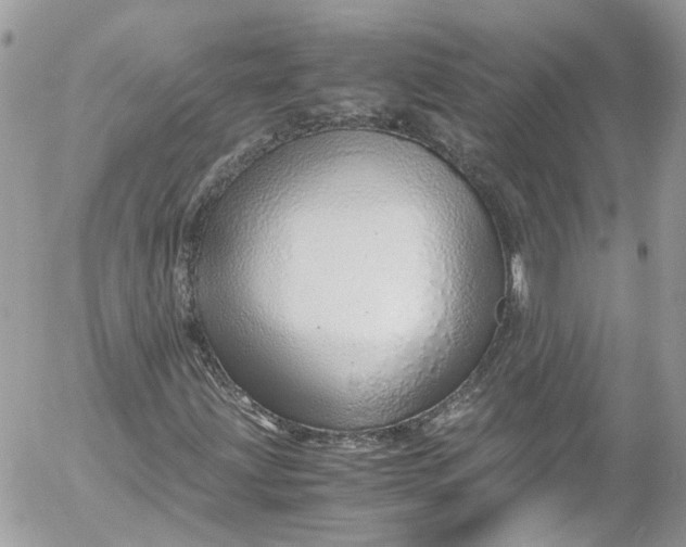 X0000052551203200507221442