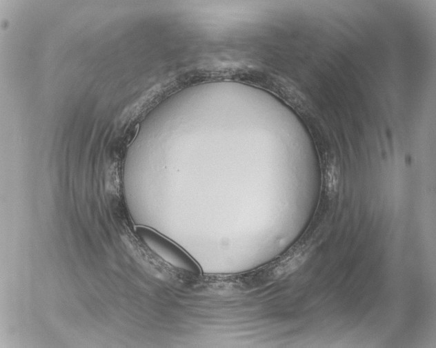 X0000052551204200507221442