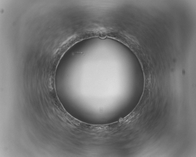 X0000052551205200507221442