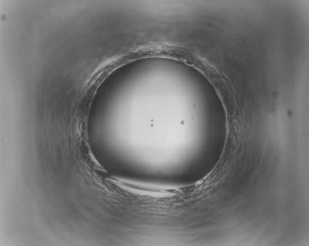 X0000052551206200507221442