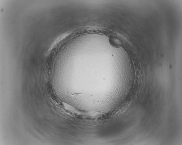 X0000052551207200507221442