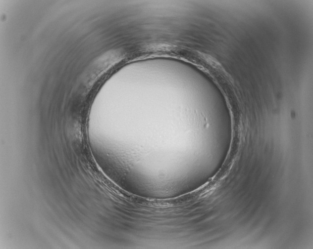 X0000052551209200507221442