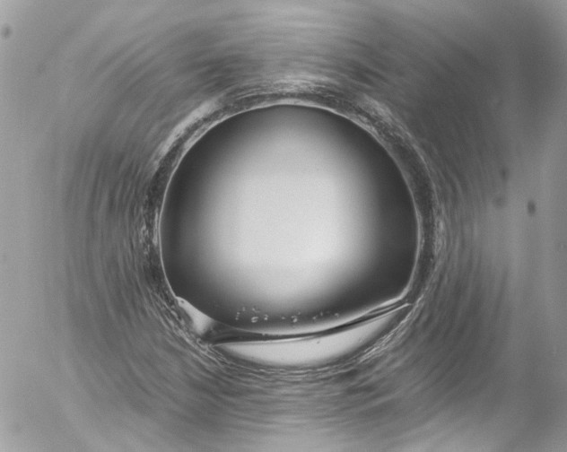 X0000052551210200507221442