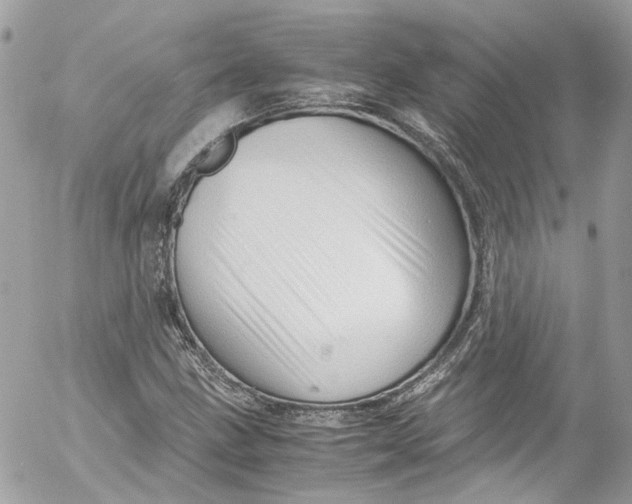 X0000052551211200507221442