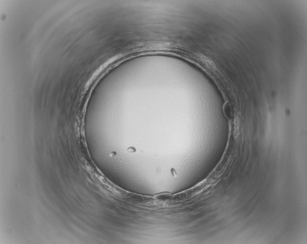 X0000052551212200507221442