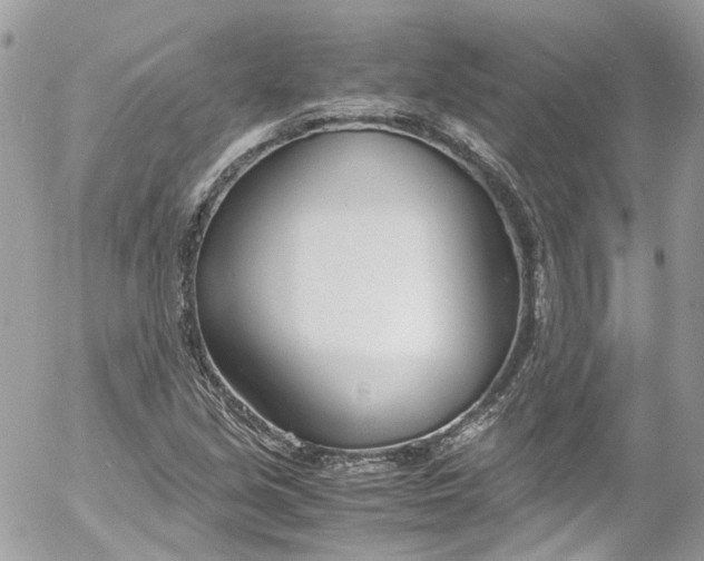 X0000052551213200507221442