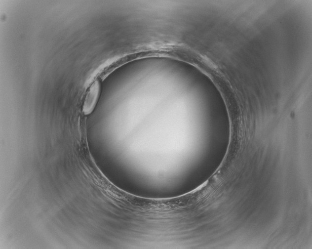 X0000052551214200507221442