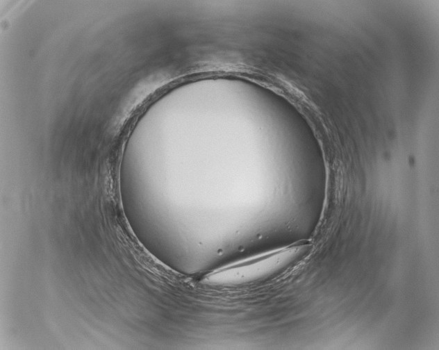 X0000052551215200507221442