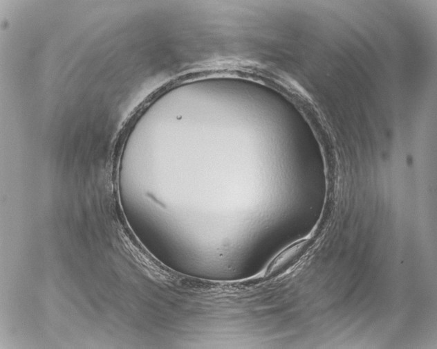 X0000052551216200507221442