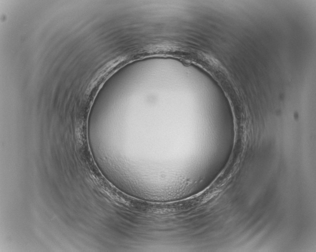 X0000052551217200507221442