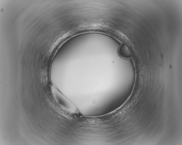 X0000052551218200507221442