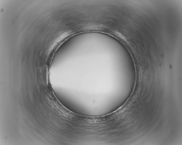 X0000052551219200507221442