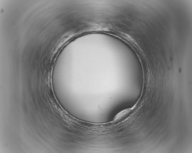 X0000052551220200507221442