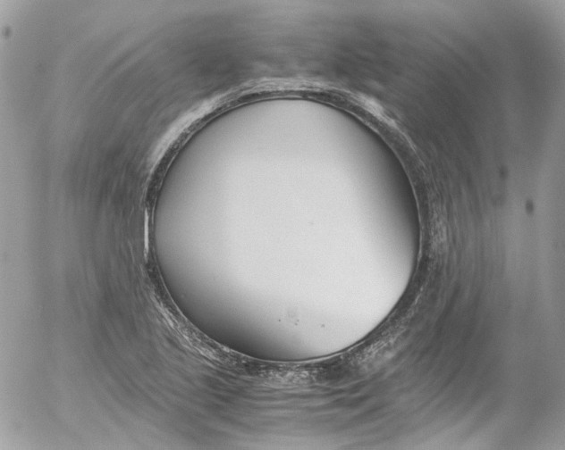 X0000052551221200507221442