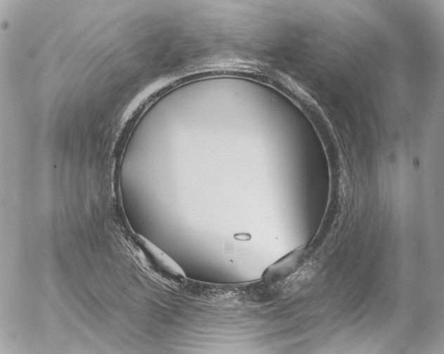 X0000052551222200507221442