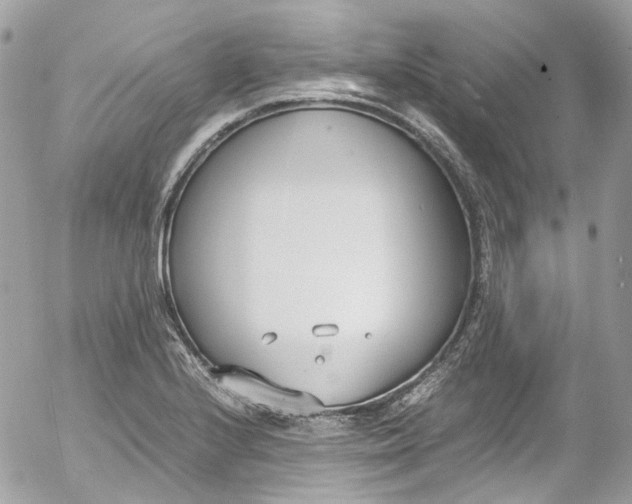 X0000052551224200507221442