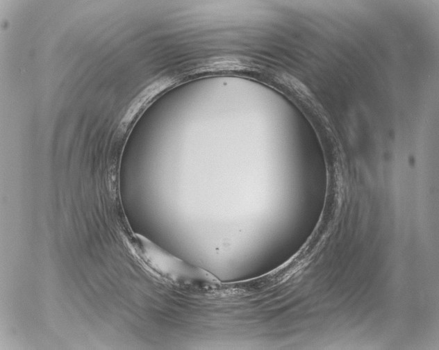 X0000052551225200507221443