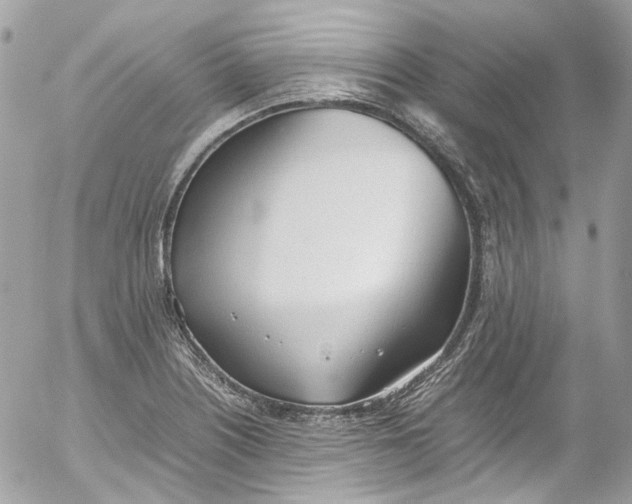 X0000052551226200507221443