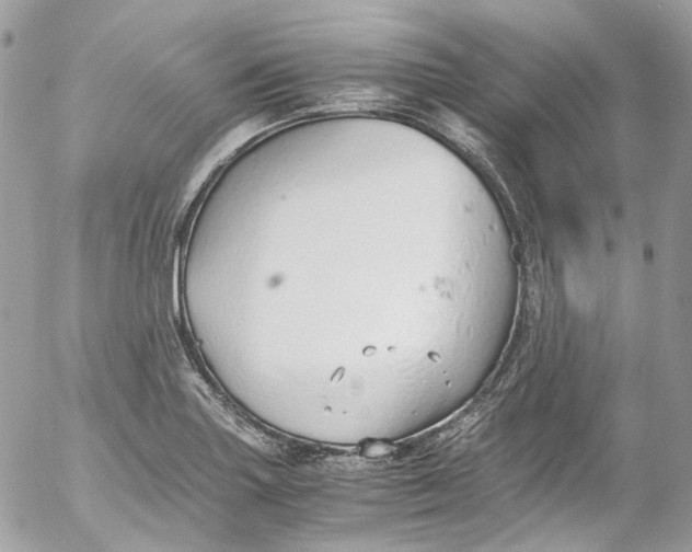 X0000052551227200507221443