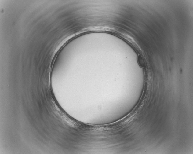 X0000052551228200507221443